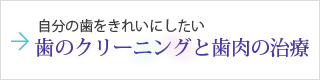 自分の歯をきれいにしたい～歯のクリーニングと歯肉の治療～