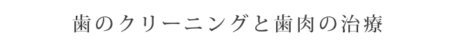 歯のクリーニングと歯肉の治療